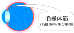 眼精疲労